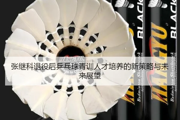 张继科退役后乒乓球青训人才培养的新策略与未来展望